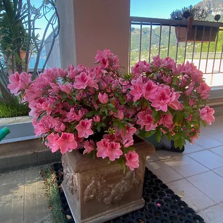 Casa Bella Vista Appartamento *