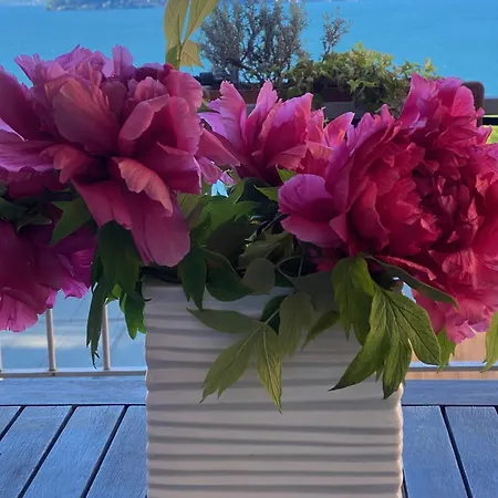 Appartamento Casa Bella Vista *
